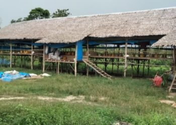 Warga Desa Lalonggombu Keluhkan Serbuan Lalat dan Bau Tak Sedap Dampak dari Usaha Ayam Potong