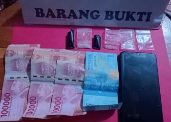 Terbukti Miliki Shabu, Seorang Warga di Konsel Ditangkap Polisi