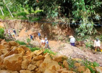 Pemerintah Desa Mataupe Realisasikan DD Tahap I untuk Peningkatan Air Bersih dan Pembangunan Talud