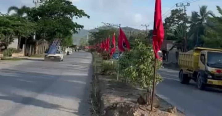 Optimis Menang, Bobi Landopi Caleg DPRD Konsel Kibarkan Bendera PDIP Sepanjang Jalan di Konda