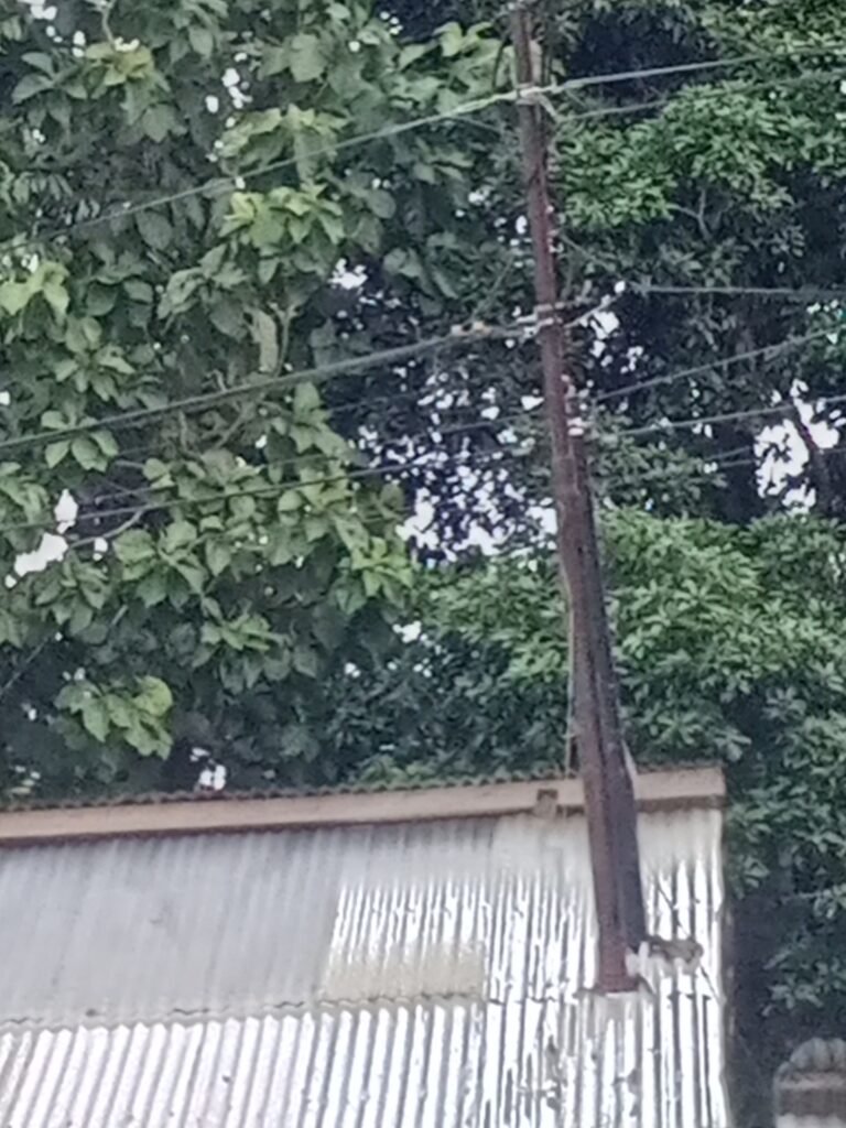 Diduga Tak Ber Izin, Warga Sebut Provider Wifi Kebal Hukum, Ormas Bersama Warga Akan Putus Paksa