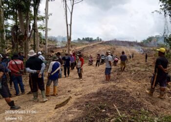 Basran Pemegang Ijin Menteri Lingkungan Hidup Dan  kehutanan, Lahan Digusur Diserobot, Kehutanan Dan APH Tidak Ada Tindakan