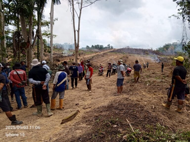 Basran Pemegang Ijin Menteri Lingkungan Hidup Dan  kehutanan, Lahan Digusur Diserobot, Kehutanan Dan APH Tidak Ada Tindakan