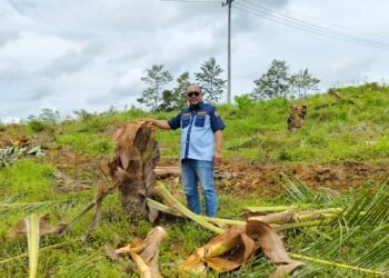 Diduga Kebal Hukum PT. Marketindo Selaras Digugat Melalui Pengadilan Andoolo