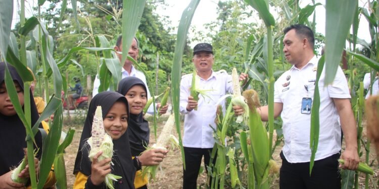 Lapas Kendari Tingkatkan Ketahanan Pangan, Libatkan SDN 92 Baruga,WBP Panen Sayur dan Jagung