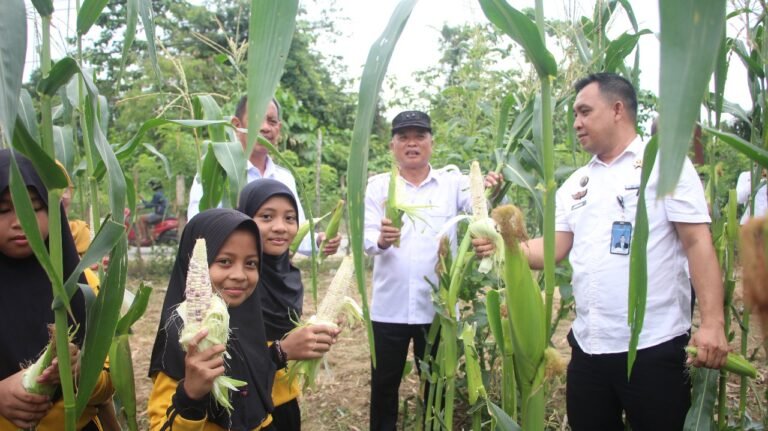 Lapas Kendari Tingkatkan Ketahanan Pangan, Libatkan SDN 92 Baruga,WBP Panen Sayur dan Jagung