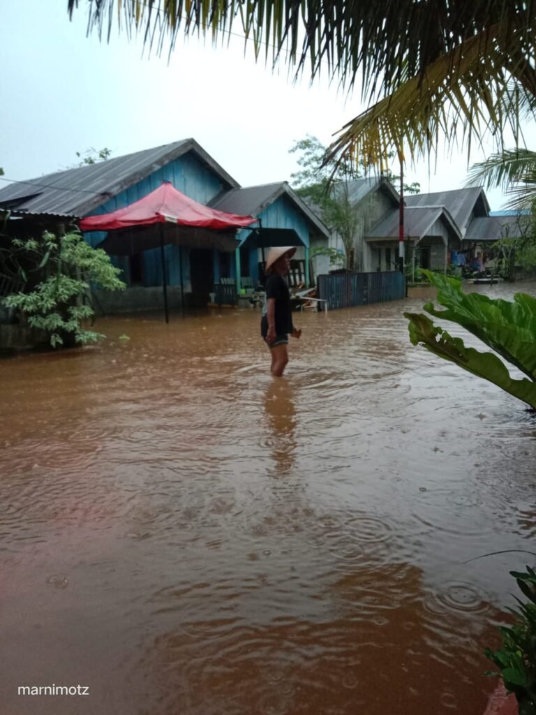 Dinsos Konsel Bergerak Cepat Tangani Bencana di Kolono Timur, Puluhan KK Terdampak