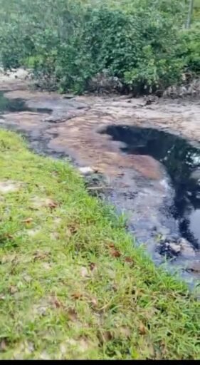 Sejak 2 Tahun Pencemaran Sungai Kali Watumokala Tak Kunjung Ditindak, Tamalaki Desak DLH Konsel Segera Turun dan Tuntaskan Pemeriksaan Sejak 2 Tahun Pencemaran Sungai Kali Watumokala Tak Kunjung Ditindak, Tamalaki Desak DLH Konsel Segera Turun dan Tuntaskan Pemeriksaan